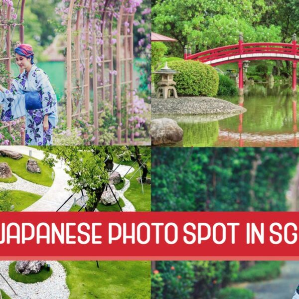 Capture The Moment With Spot Foto: Professional Photography…