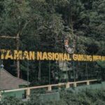 Exploring The Wilderness: Taman Nasional’s Biodiversity And Beauty