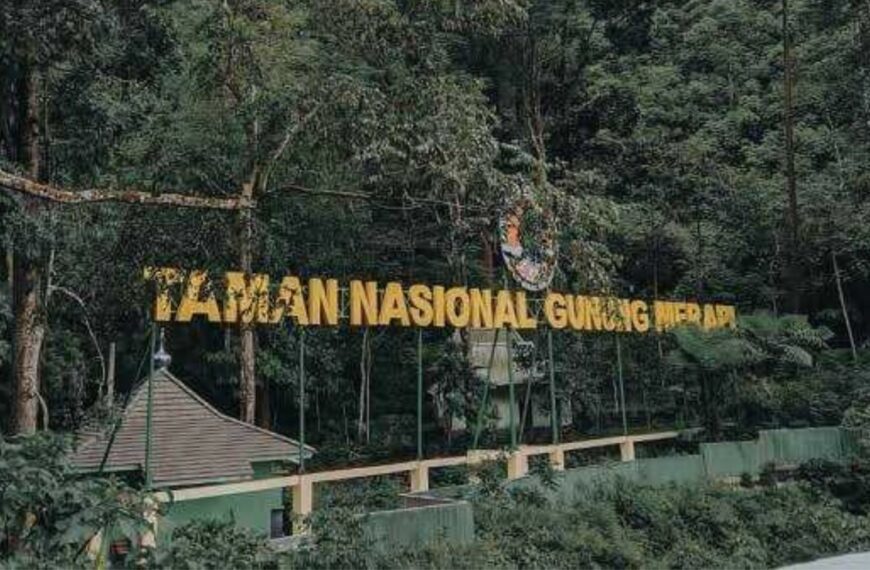 Exploring The Wilderness: Taman Nasional’s Biodiversity And Beauty